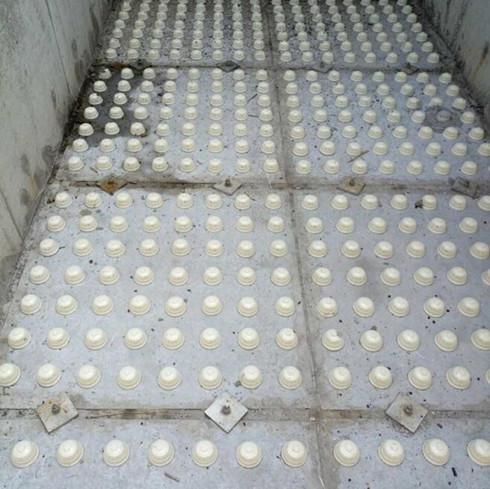 �V��V�^���bЧ��